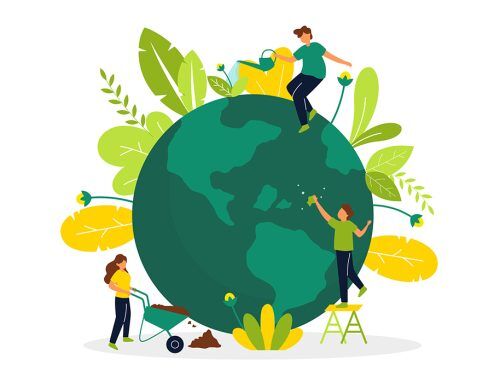 Debunking the Myths of Sustainability in Service